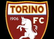 米兰捕鱼-都灵新援表现出色，积极适应球队战术