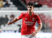 米兰体育下载-阿贾克斯锋线射手转投沙尔克，欲拯救球队战绩