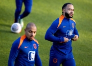 米兰捕鱼-荷兰国家队在比赛里打进了进球