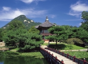 米兰体育官网-赛道与球场，F1街道赛焦点战与阿森纳粉碎那不勒斯的双重奏