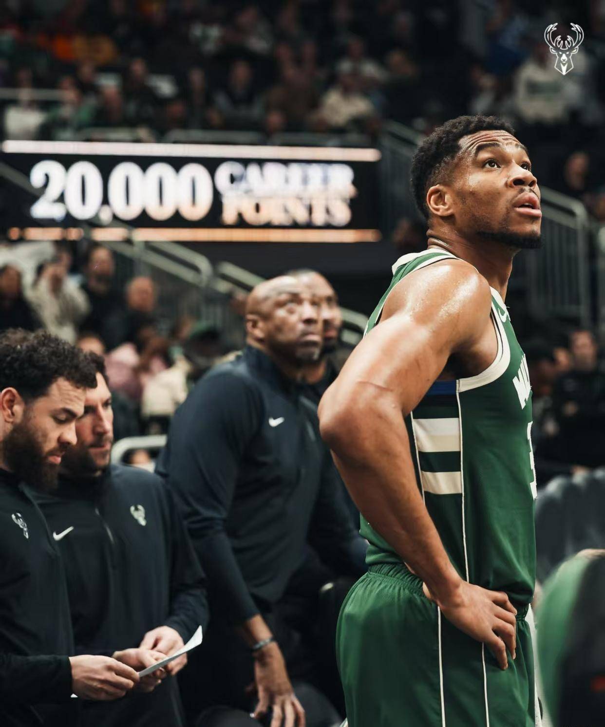 雄鹿豪取七连胜，继续领跑西部的简单介绍